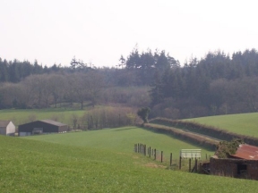 site of the buck's head