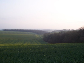 rolling countryside