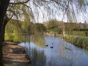 mill-pond at sutton poyntz